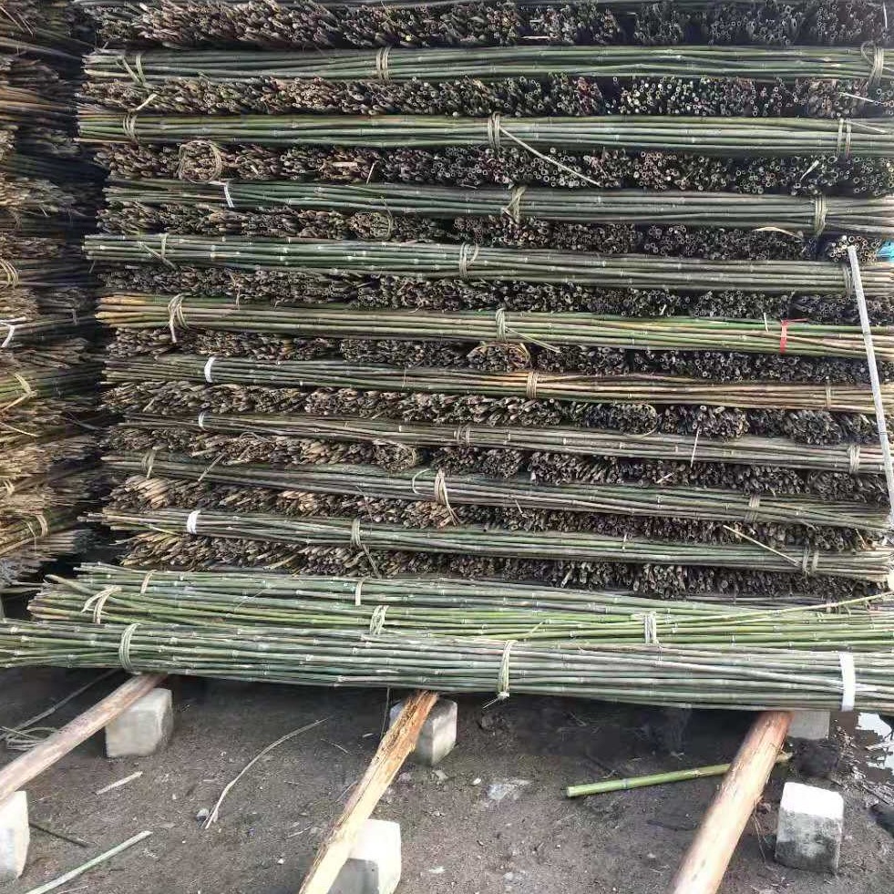 崔琦竹木厂家批发葛耿搭架支撑用竹子2.5米长短可定制 手指粗细竹杆