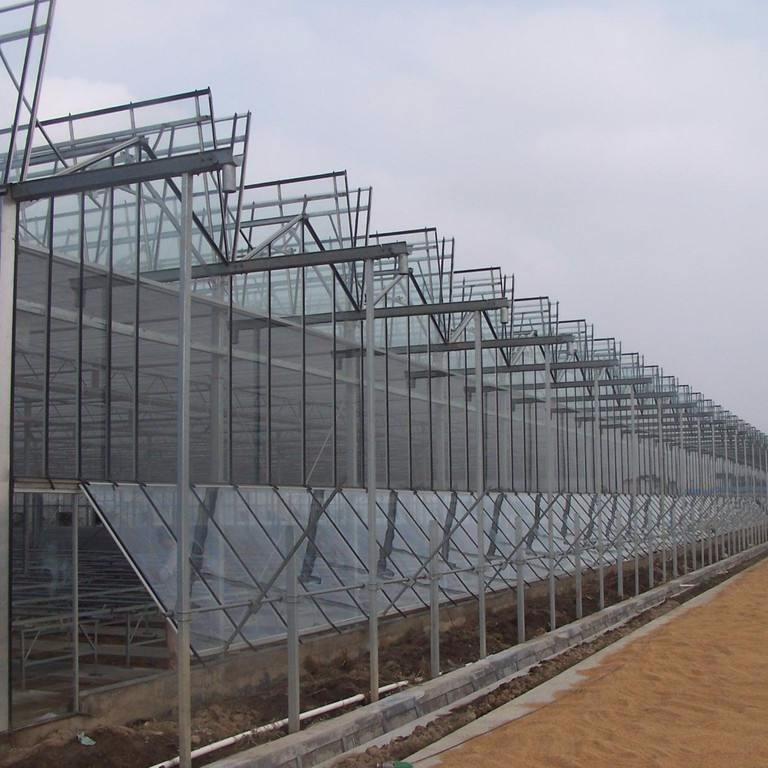 青州鑫泽厂家直销 玻璃温室 玻璃智能温室生产厂家 玻璃温室骨架 花卉玻璃大棚