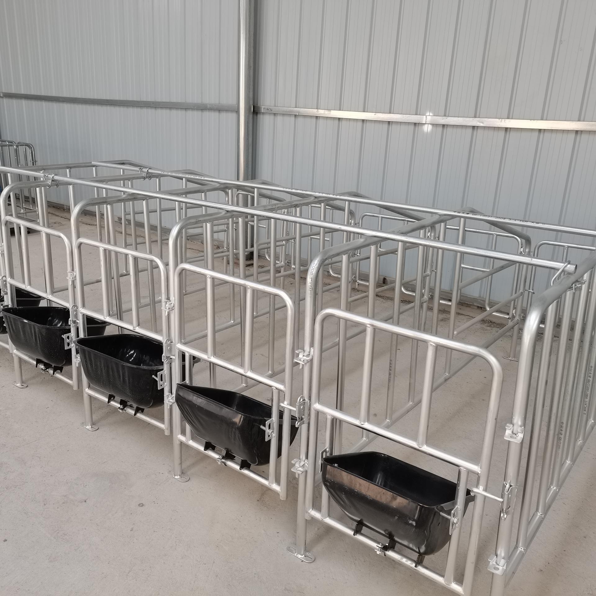 高床限位养猪定位栏 海丫养殖 养猪设备落地式定位栏干净卫生