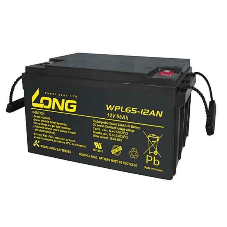 LONG广隆蓄电池WP65-12N 12V65AH台湾广隆蓄电池机房储能 UPS EPS配套电池 电厂电站