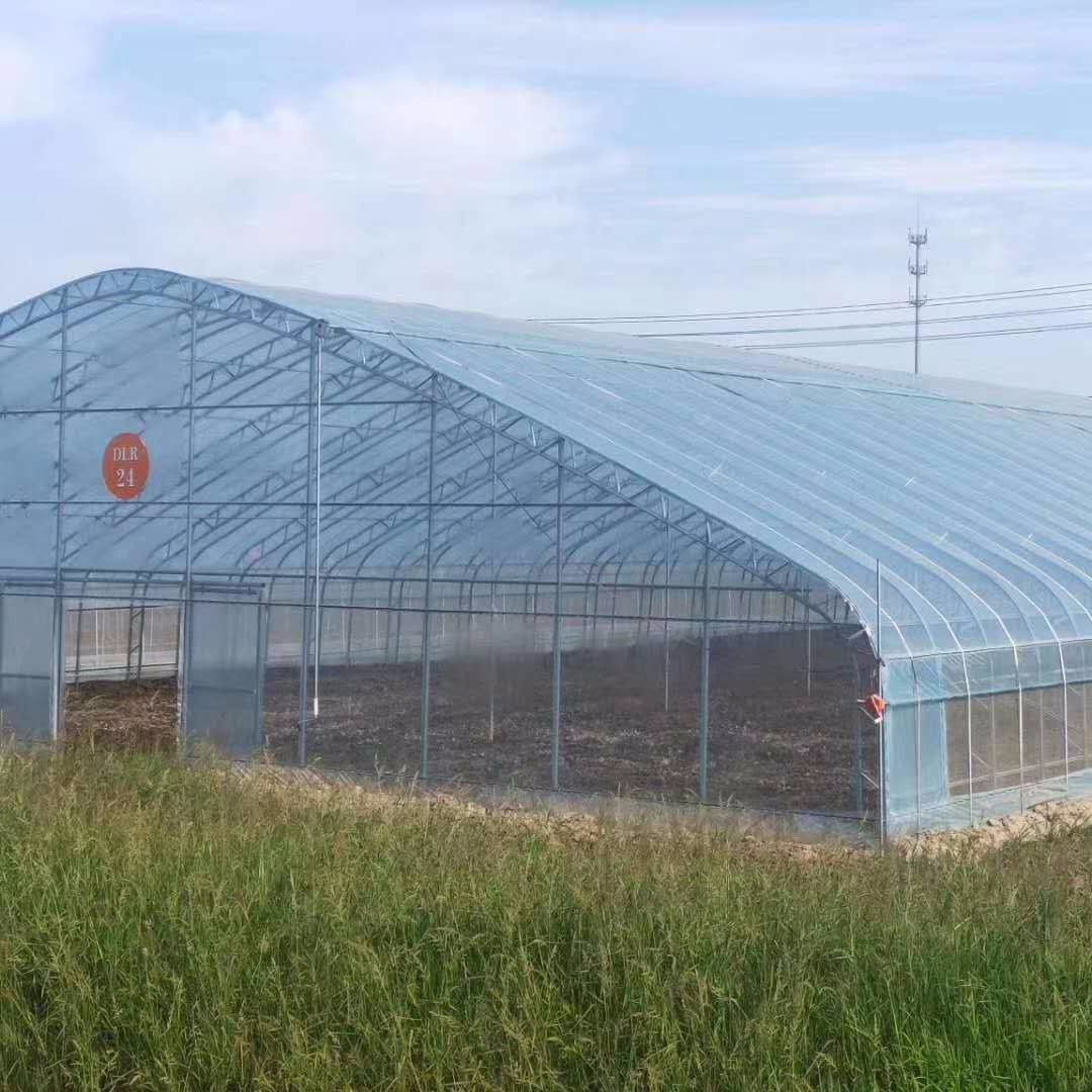 二亩地新建大棚 2亩钢架温室 两亩蔬菜种植单体大棚骨架 镀锌管养殖大棚