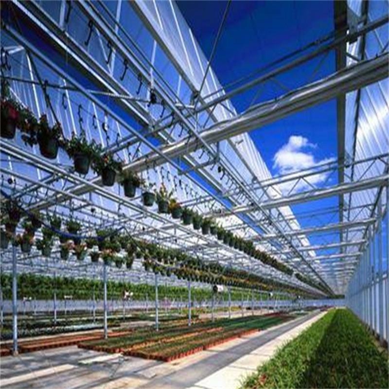 农业温室大棚阳光板 爱硕 日照PC阳光板每平方价格 中空透明阳光板厂家