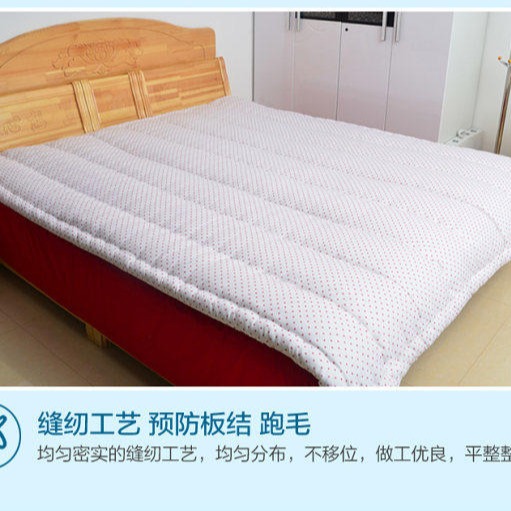 燕诺 新疆棉 单人床用 宿舍用品 军训被褥  可送礼 加工工厂图片