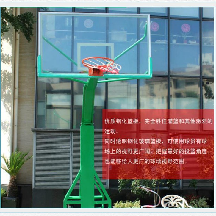 家用升降篮球架 户外移动标准篮球架 龙泰体育 湖南省上门安装