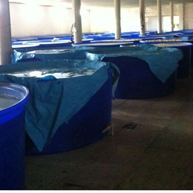 新洲直径2米平底养殖大圆桶生产 3000公斤农业鱼养水箱定做图片