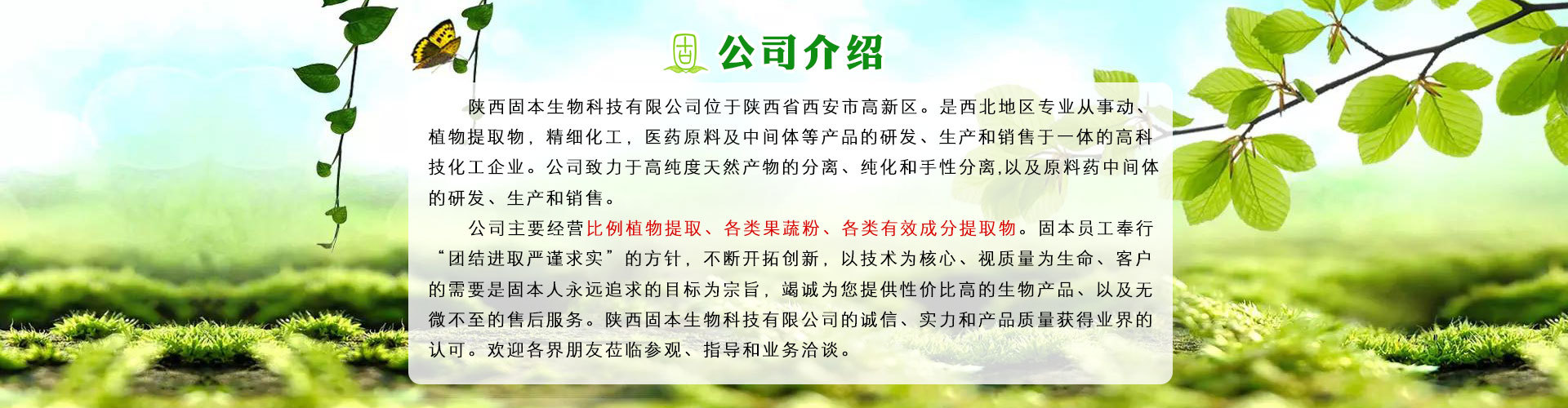 葛根提取物 98%  葛根黄酮 葛根素 葛根提取物异黄酮 现货1KG包邮示例图2