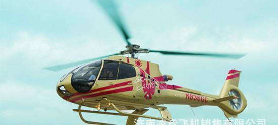 全国接单  直升机婚礼   私人直升机租赁  直升机看房