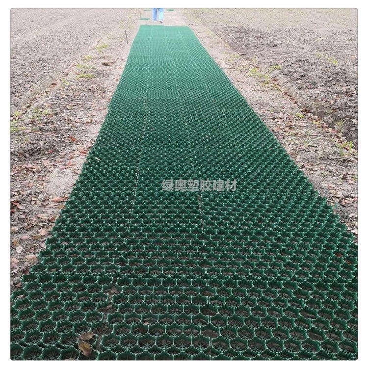 厂家直销鲜绿色3.8公分植草格 高抗压 耐辐射 停车场专用植草格