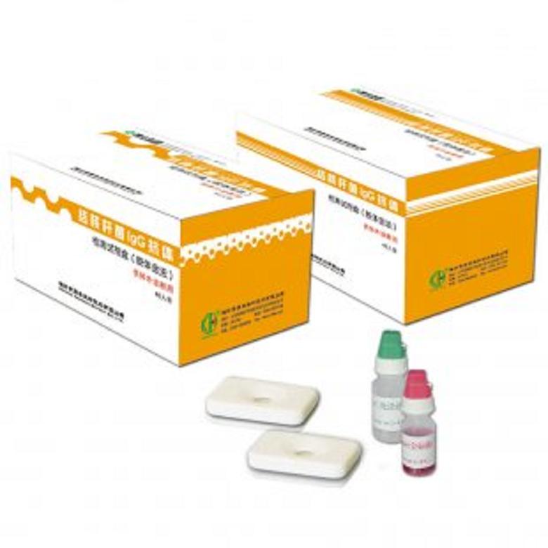 大鼠巨噬细胞炎症蛋白5(MIP-5)ELISA试剂盒