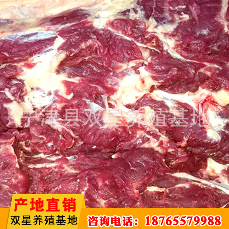 厂家进口蒙古马肉 传统美味食品马后腿肉现场现杀冷冻批发示例图6