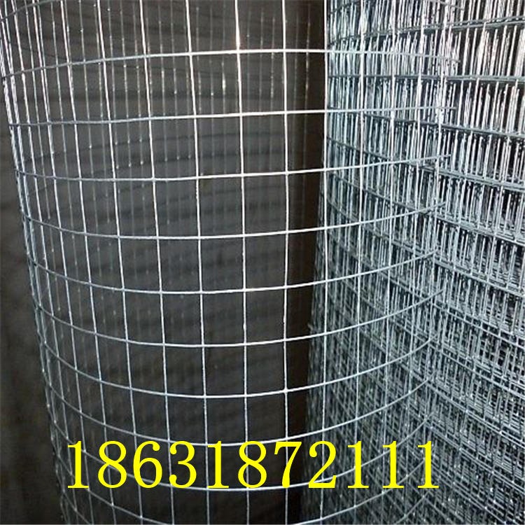 龙润大卷130米镀锌铁丝网 钢丝网 养殖用电焊网 厂家直销图片