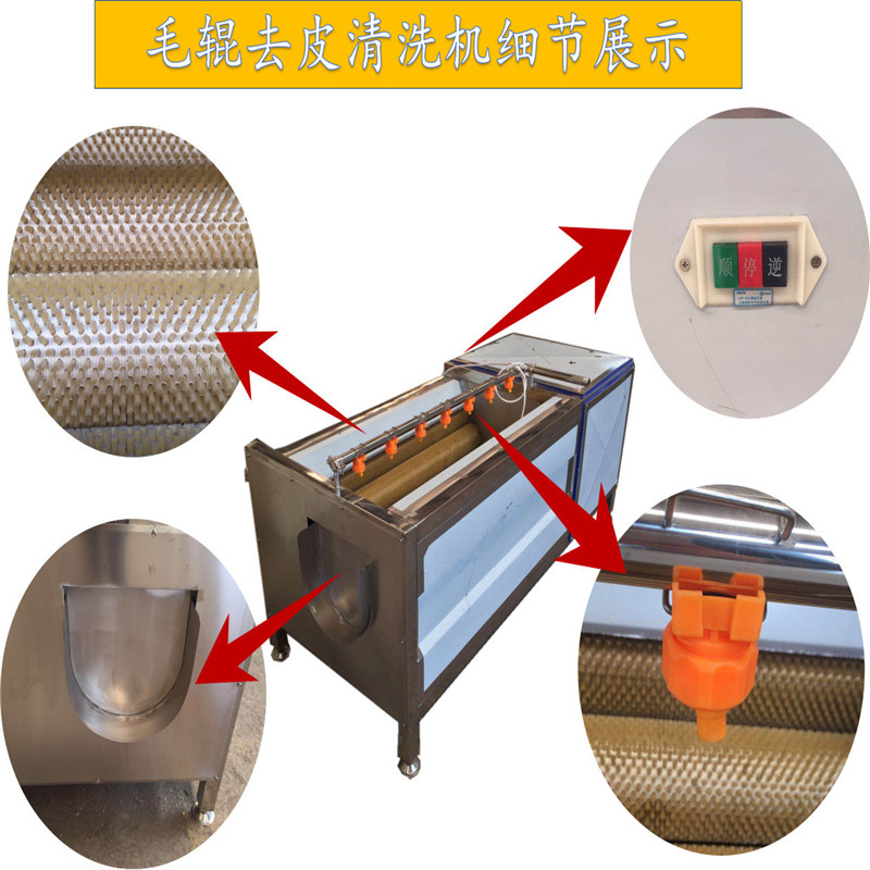 红薯清洗机 金丝矮坨坨清洗机 生姜清洗机器 泰昌TC-1500