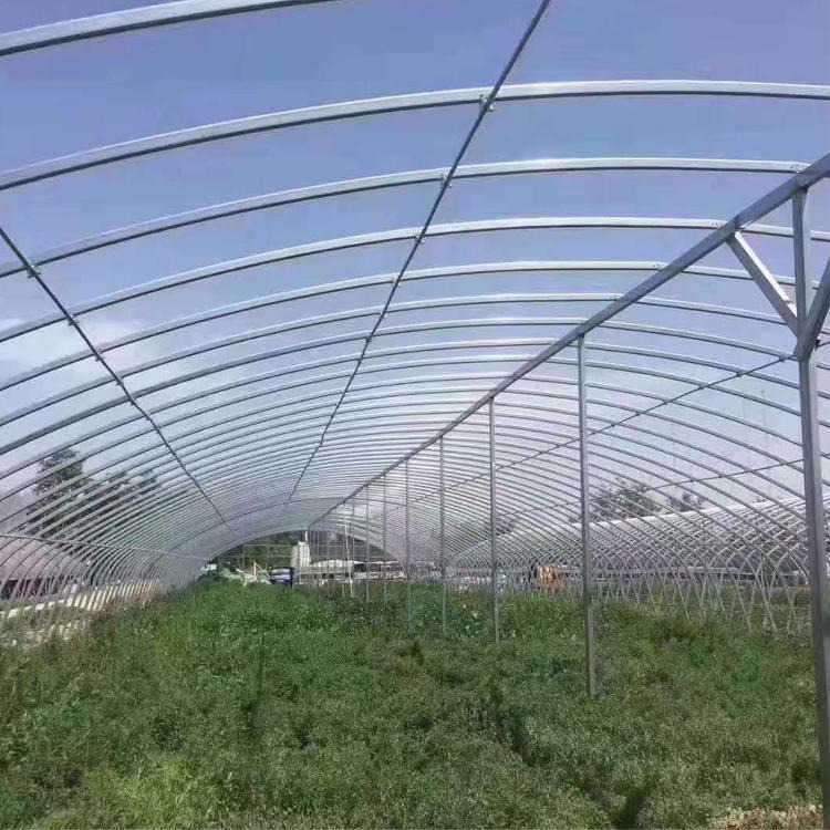 新型蔬菜大棚 瓜果种植温室 新型蔬菜大棚建设厂家图片