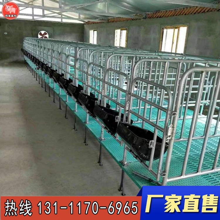 翔誉畜牧厂家生产 2.5母猪定位栏带复合底板 带食槽定位栏 限位栏 价位合理