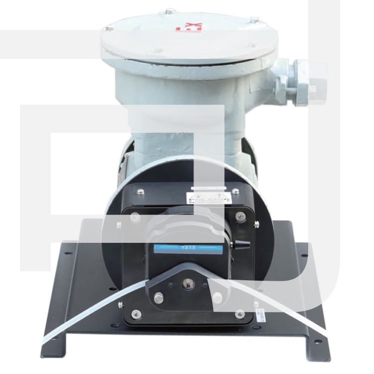 FG601S-A3防爆电机蠕动泵 13升大流量工业防爆蠕动泵示例图2