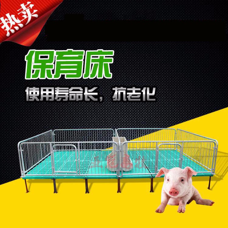 供应新款2021年，亚冠YG-01，仔猪保育床，仔复合板猪保育床使小猪更好饲喂图片
