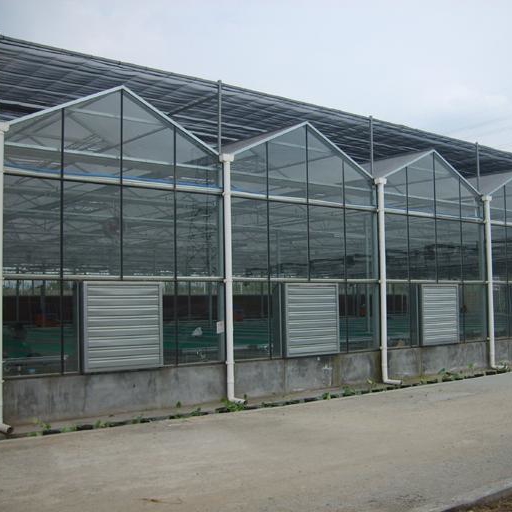 智能温室玻璃大棚工程 智能温室蔬菜大棚 智能连栋玻璃温室 博伟 BW