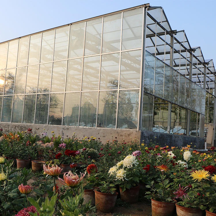 生产安装新型玻璃温室大棚 智能玻璃温室 嘉诺温室厂家全国承建