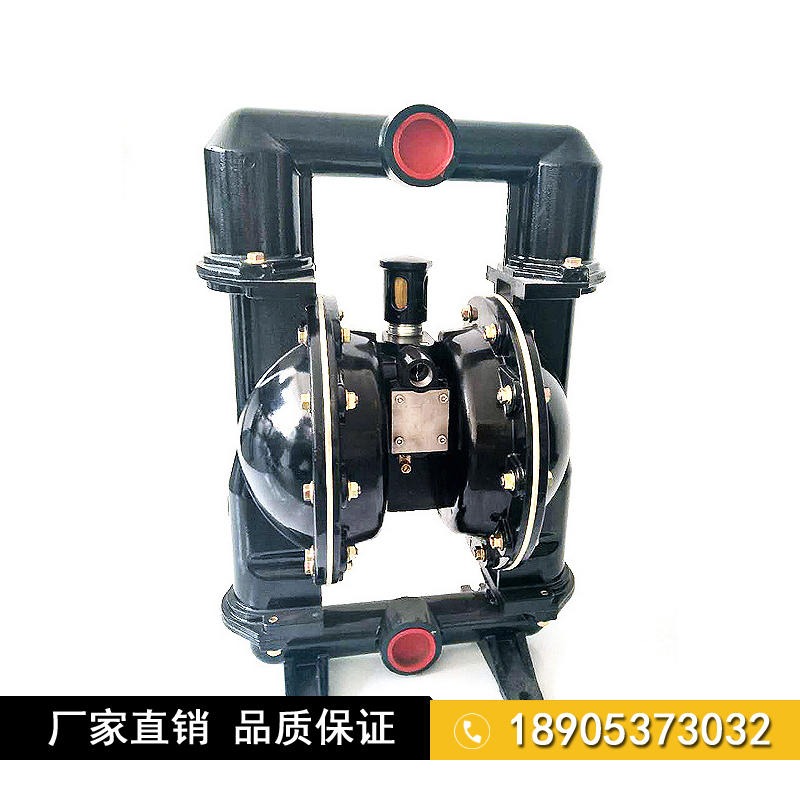 金煤DBY电动隔膜泵 BQG-150/0.3 防爆耐腐图片