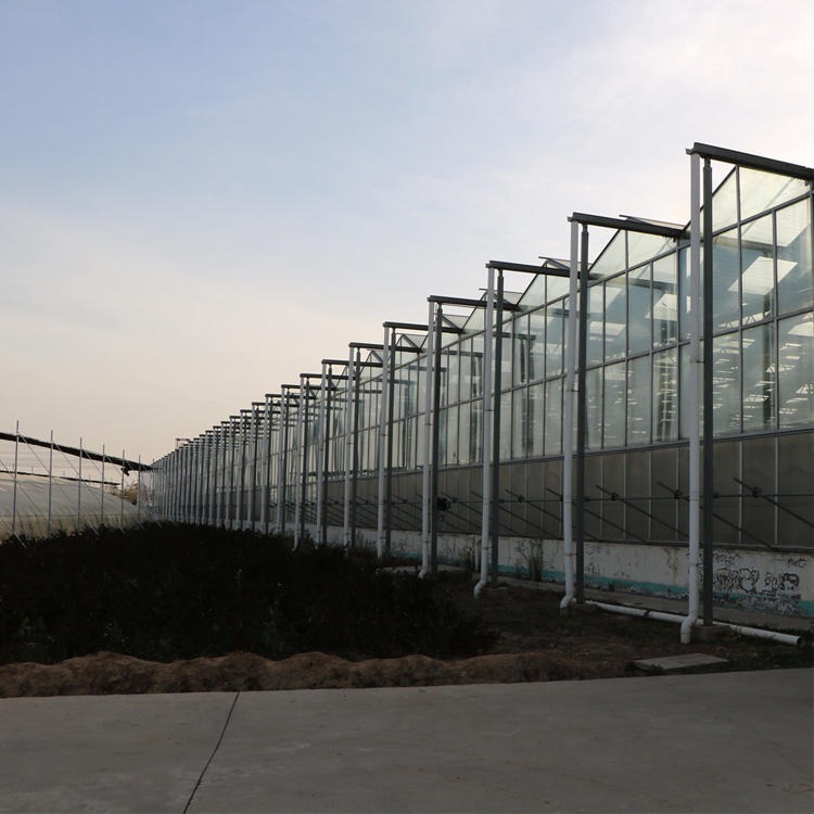 广东新型玻璃温室大棚 嘉诺 玻璃温室大棚建设厂家全国施工