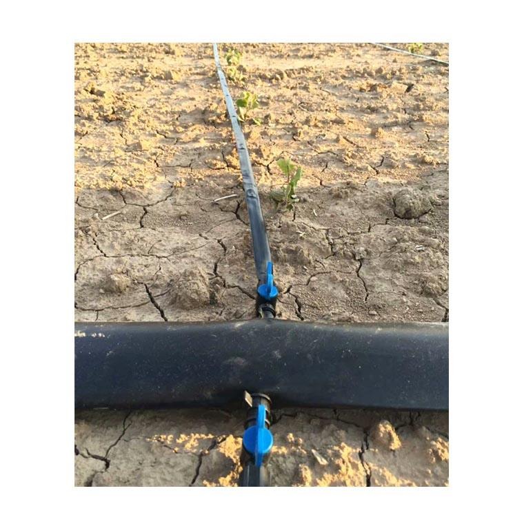 丰盛源中约材水肥一体化灌溉工程 中约材水肥一体化灌溉造价
