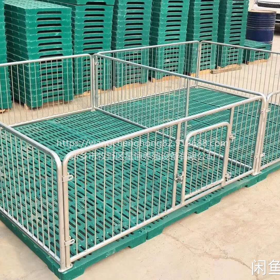 星恒机械生产仔猪保育床限位栏产床复合板小猪用加厚连体母猪保育栏养猪设备