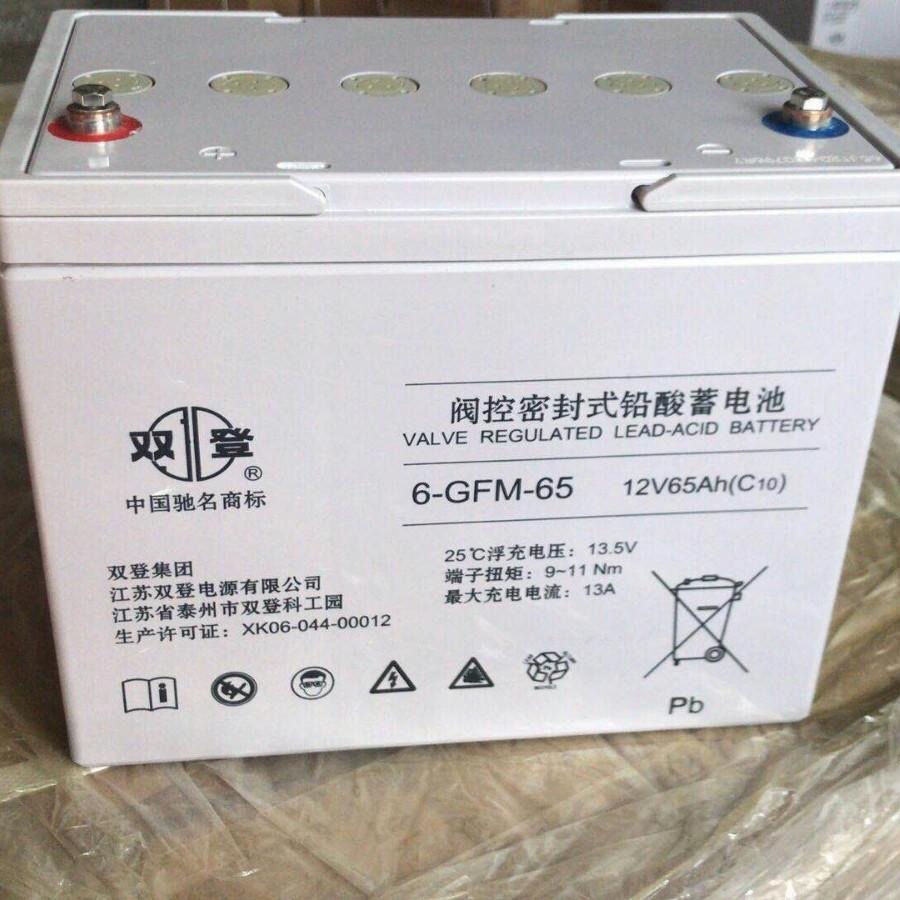 双登12V65AH 双登蓄电池6-GFM-65 铅酸免维护蓄电池 双登蓄电池厂家 UPS专用蓄电池
