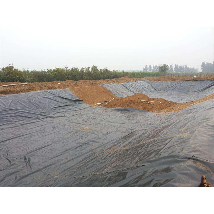 河南 HDPE防渗膜，鱼池，藕池专用黑膜地膜全国销售图片