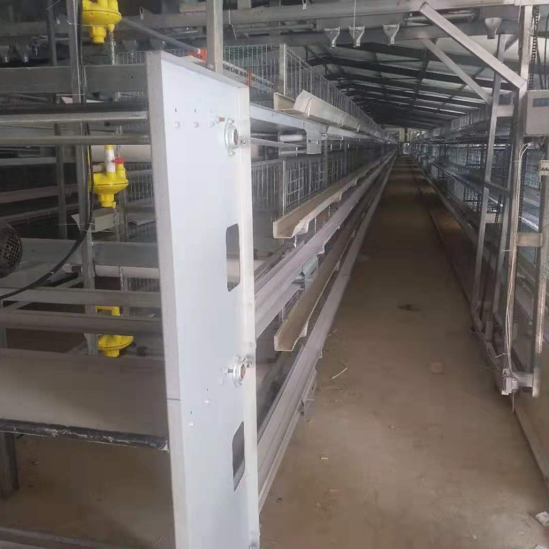 厂家直销 输送带式自动清粪机 传送带式清粪 养鸡自动化设备