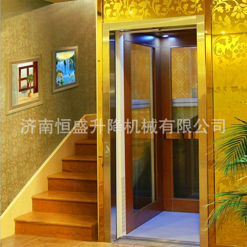 家用电梯 小型阁楼升降机室内外观光电梯 别墅复式二三层电梯示例图10