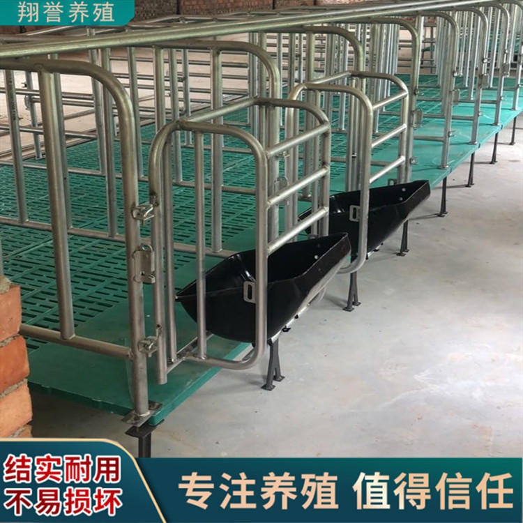 加工整套限位栏 厂家现货畜牧设备 批发猪用围栏 量大从优 翔誉
