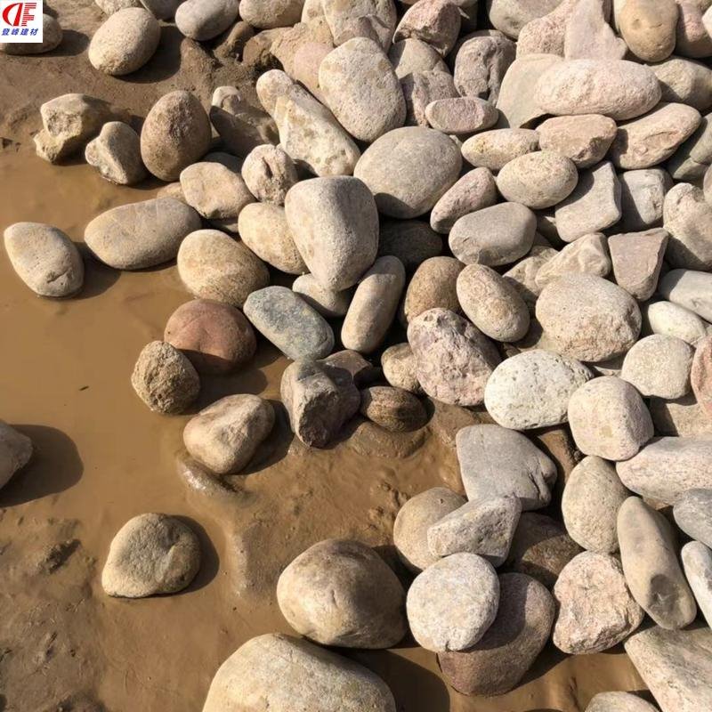 登峰厂家供应  天然鹅卵石  瀑布观赏石  人工铺设路面用卵石  品质可靠图片