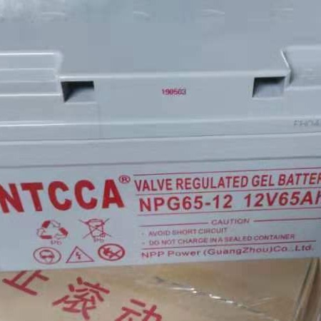 NTCCA蓄电池NPG65-12 耐普电池12v65AH 直流屏 太阳能电池 数据机房用胶体免维护电池