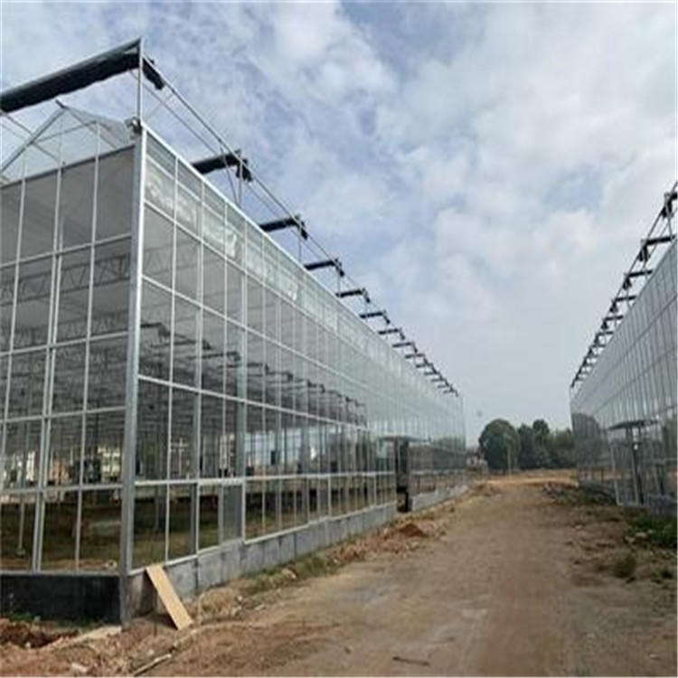 蔬菜玻璃温室 玻璃温室 玻璃温室大棚工程建设 博伟