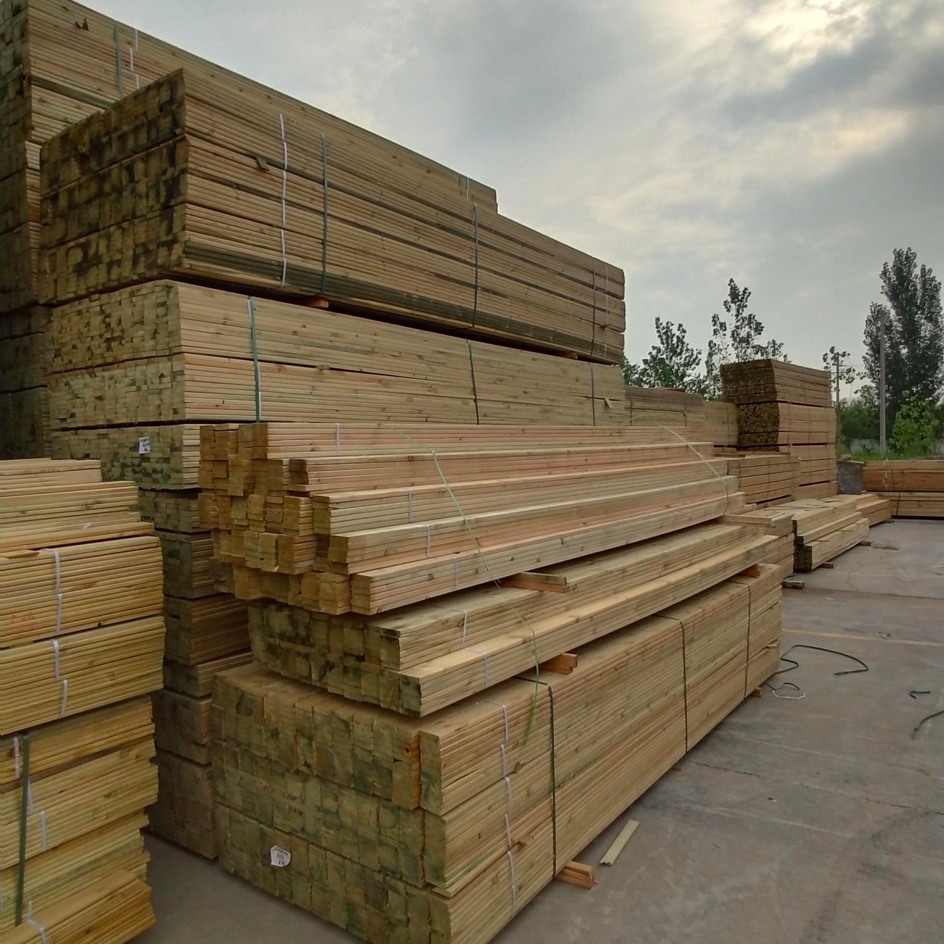 盛唐河南料厂木材樟子松防腐木碳化木木方实木木方 木条方木料图片