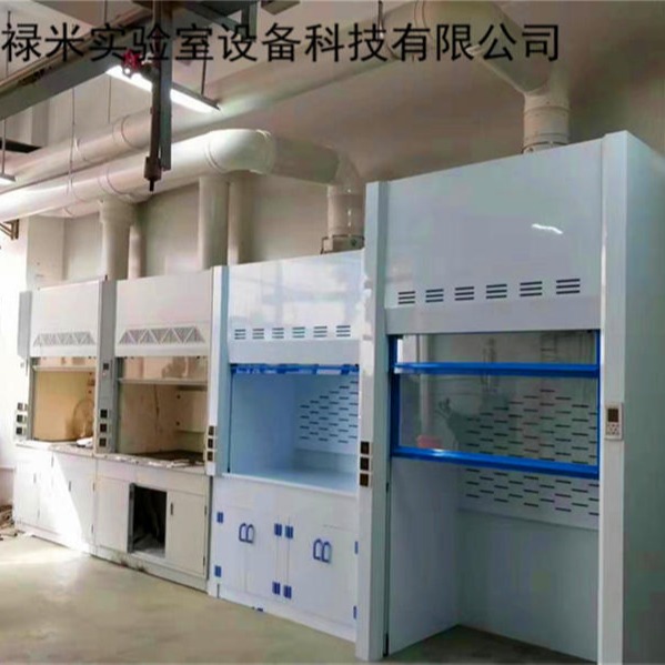 禄米 实验室PP通风橱 实验室家具 厂家直销 LM-TFG52909