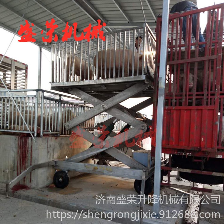 辽宁卸猪台 盛荣移动式卸猪升降台 SJY3-3.2液压升降卸猪台图片