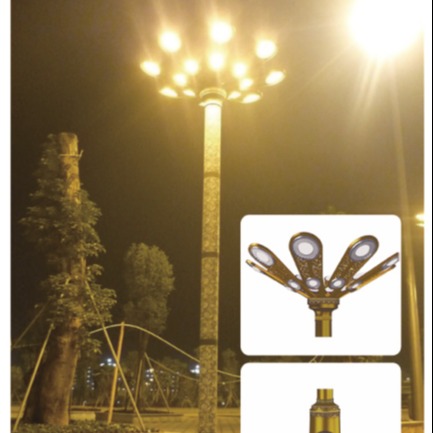 路灯厂家直销高杆路灯，中华灯，LED市政工程道路灯，8米12米15米大型景观玉兰灯图片