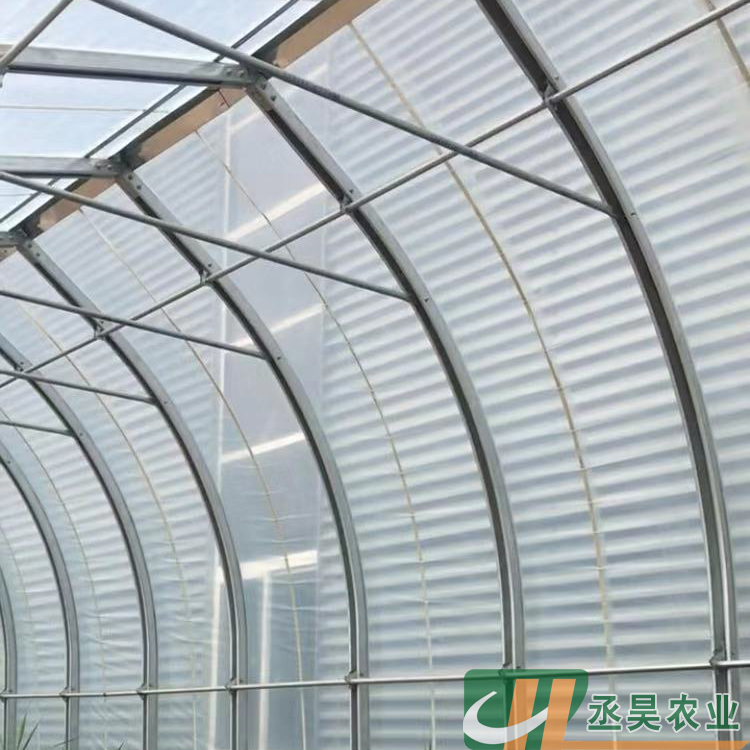 丞昊农业供应 日光棚 葡萄种植 几字钢日光温室 专业设计
