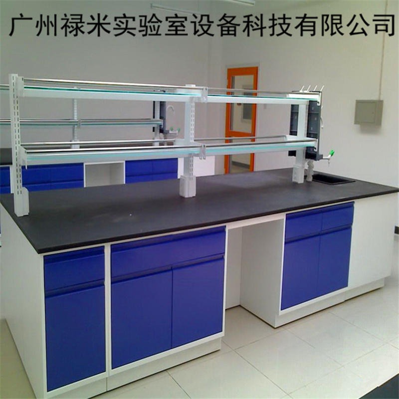 禄米实验室 化验室全钢实验台 生产定制 全钢实验台 实验室家具 LM-SYT111210
