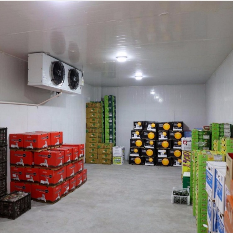 冰艾制冷公司供应冷库安装 果蔬冷藏库 小型冷库制冷设备 冰艾冷库维修图片