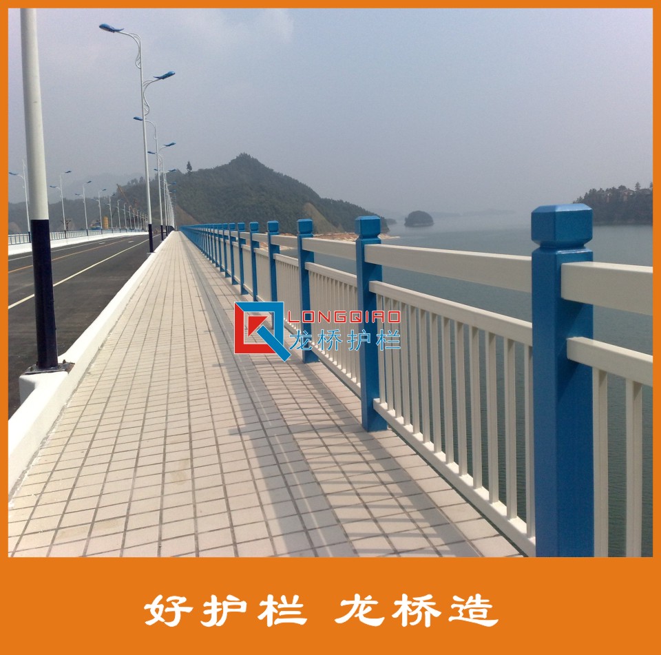 武汉公路桥梁护栏 武汉道路桥梁护栏 不锈钢碳钢护栏 龙桥专业生产