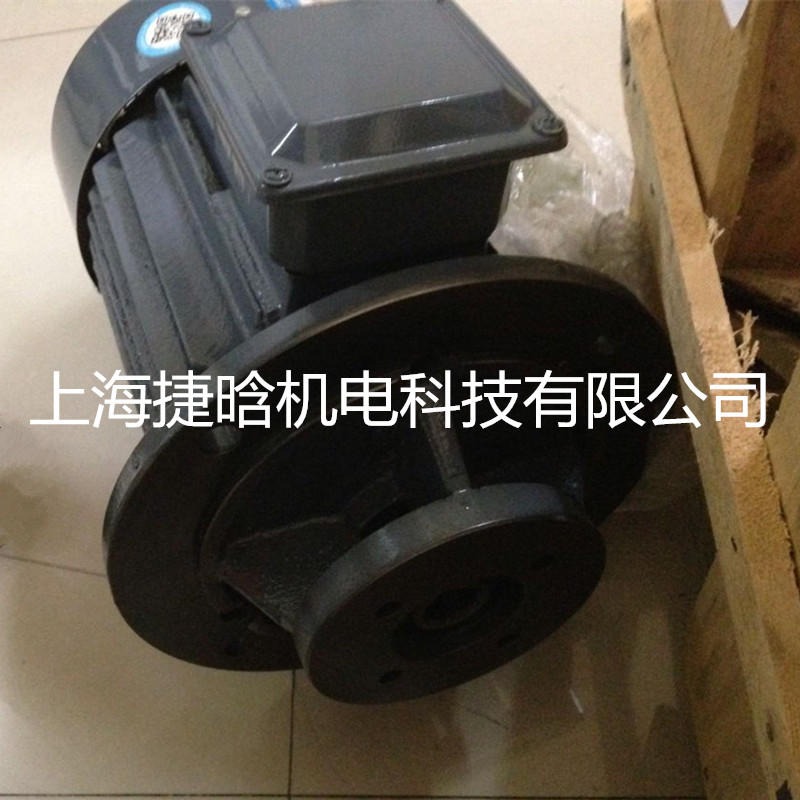YQB100L1-4 直插式液压油泵电机 2.2KW内轴三相异步电机图片