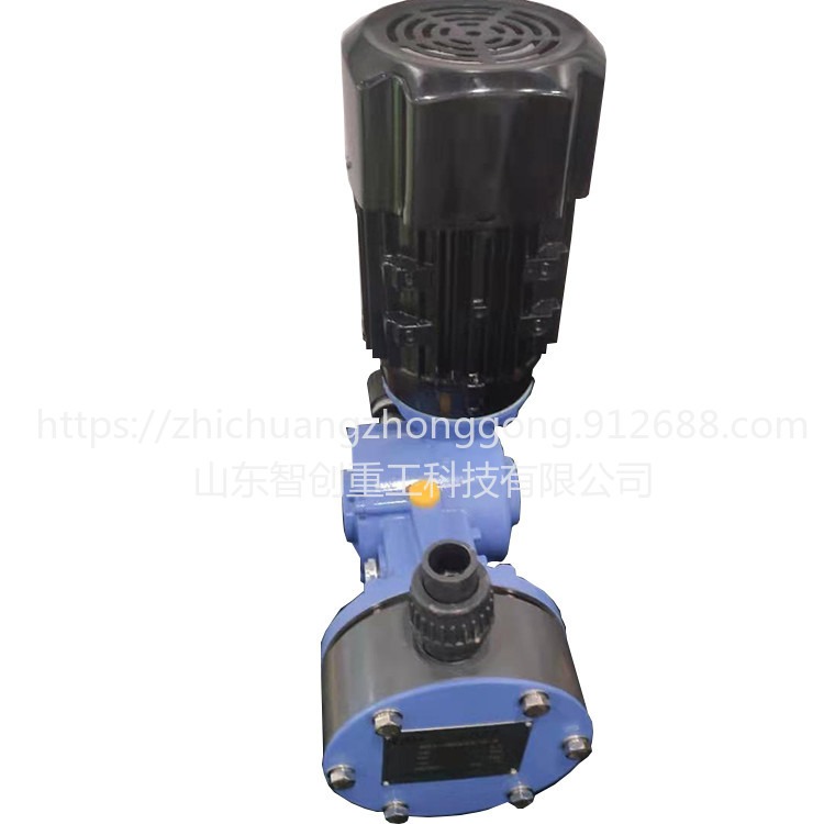 zc-1机械隔膜计量泵 往复泵隔膜式机械计量泵 微型电磁隔膜计量泵图片