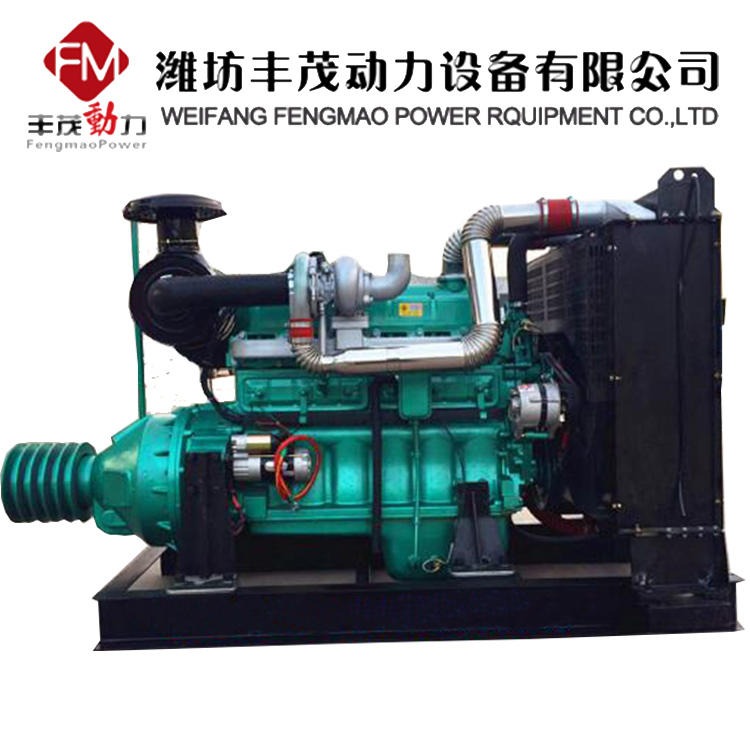 潍坊R6110IZLP固定动力柴油机带离合器 柴油机厂家直销 六缸柴油机配套水泵专用