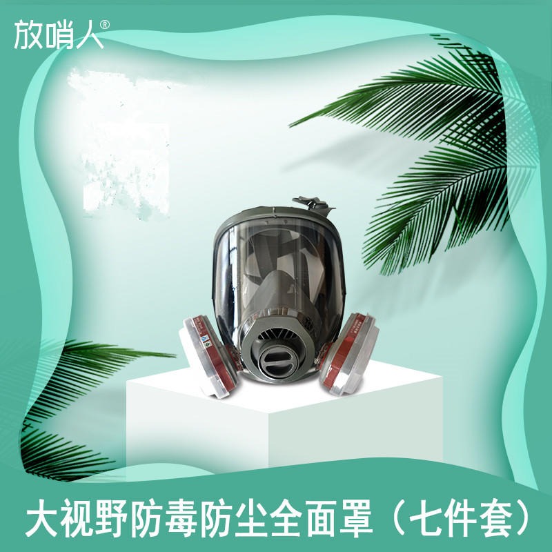 放哨人FSR0421防毒全面罩   防护面具   过滤式   全面型呼吸防护器