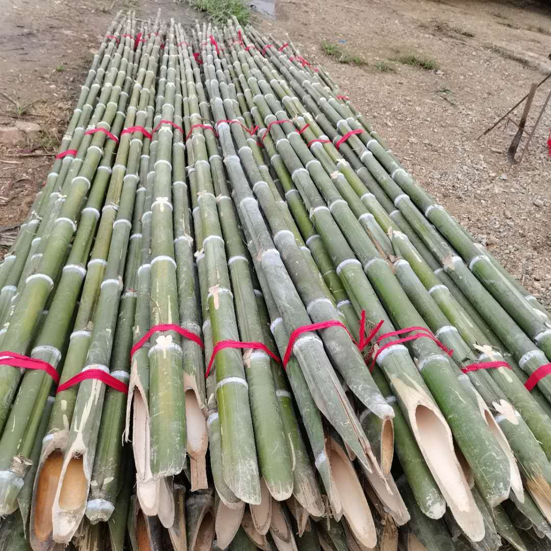 2米 3米 4米 5米 竹子 竹竿 竹杆 搭架菜架竹 彩旗竹 横幅竹图片
