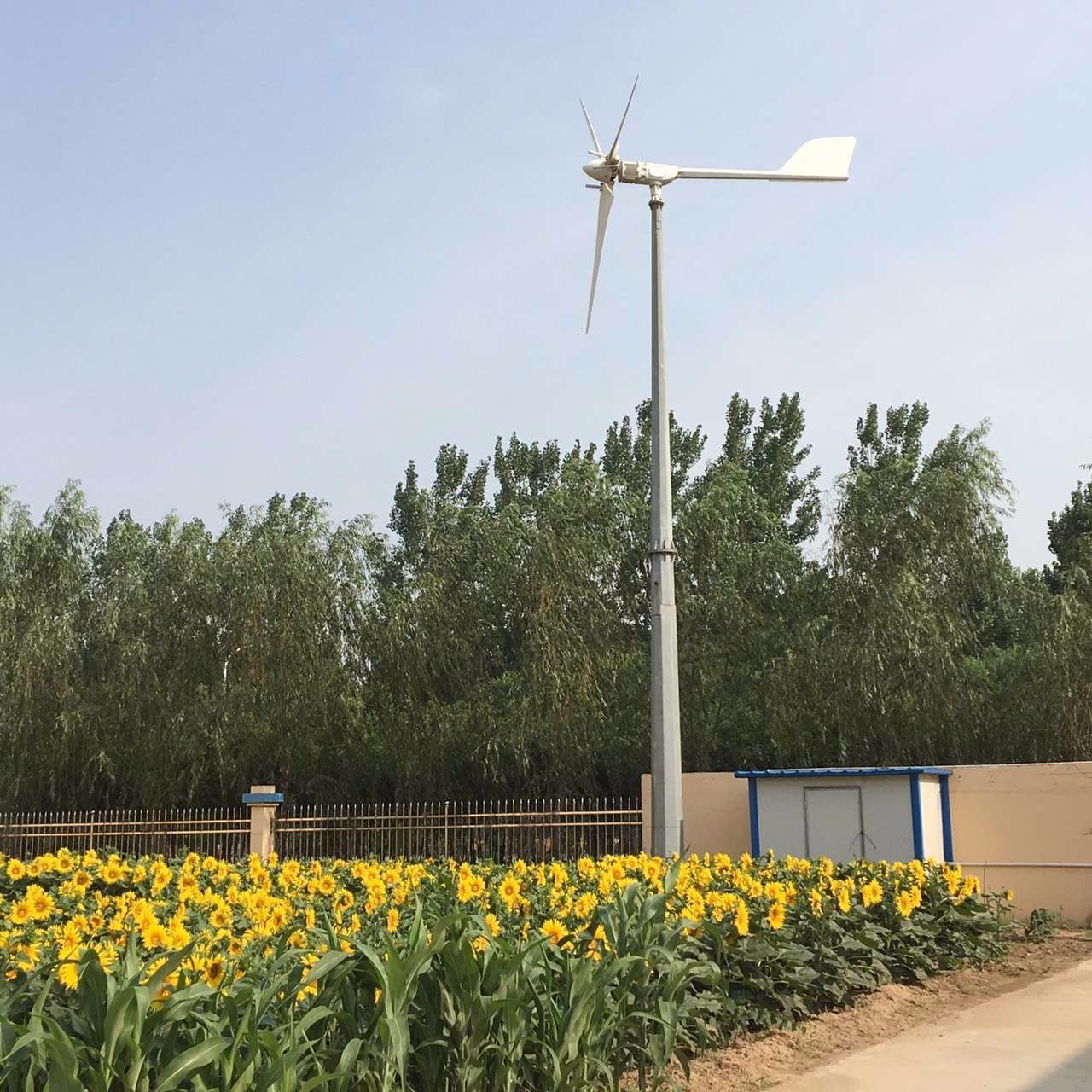 甘肃晟成家用10kw小型风力发电机发电量高功率足经久耐用离网风力发电机