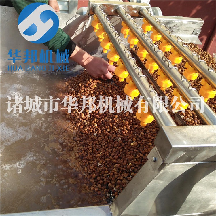 潍坊诸城市油莎豆清洗机报价  不锈钢制作洗油莎豆的设备