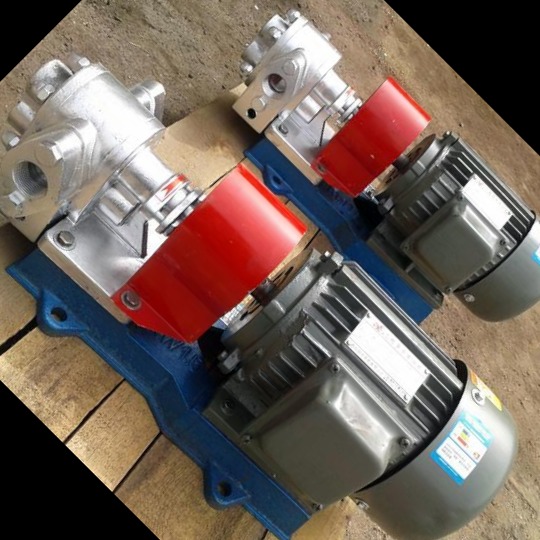 不锈钢齿轮泵 鸿海泵业 LQB输油泵 耐腐蚀 货源充足 欢迎选购